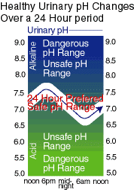 pH Clear - Healthy Urinary pH Changes Over a 24 Hour Period - Future Body Sciences